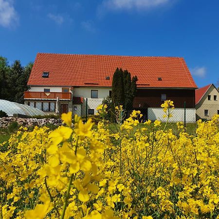 Alte Schaeferei Bad Gottleuba Villa Exterior foto